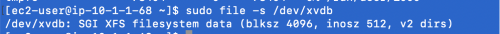 file -s