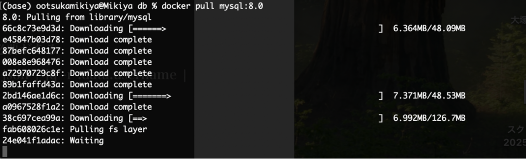 docker pullダウンロード画像
