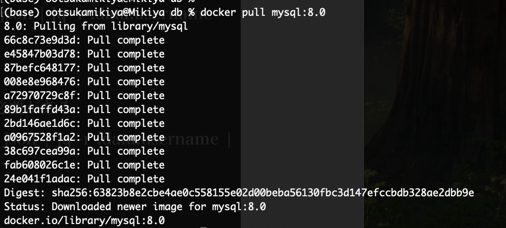 docker pull完了画面